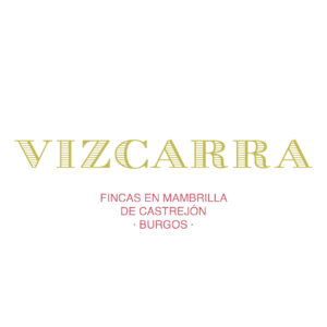 VIZCARRA LOGOTIPO